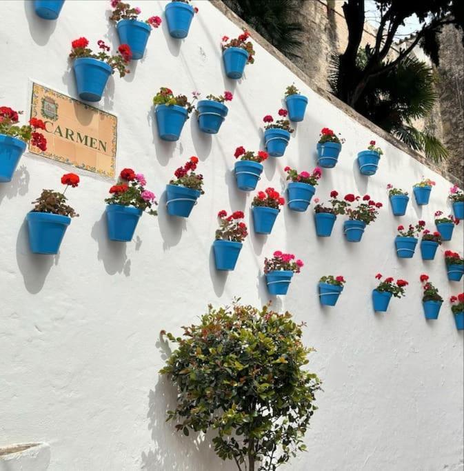 Calmo Marbella, Exclusivo, Centrico Y Con Piscina *